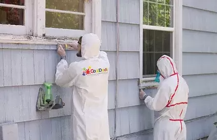 Lead Remediation Service in Providence